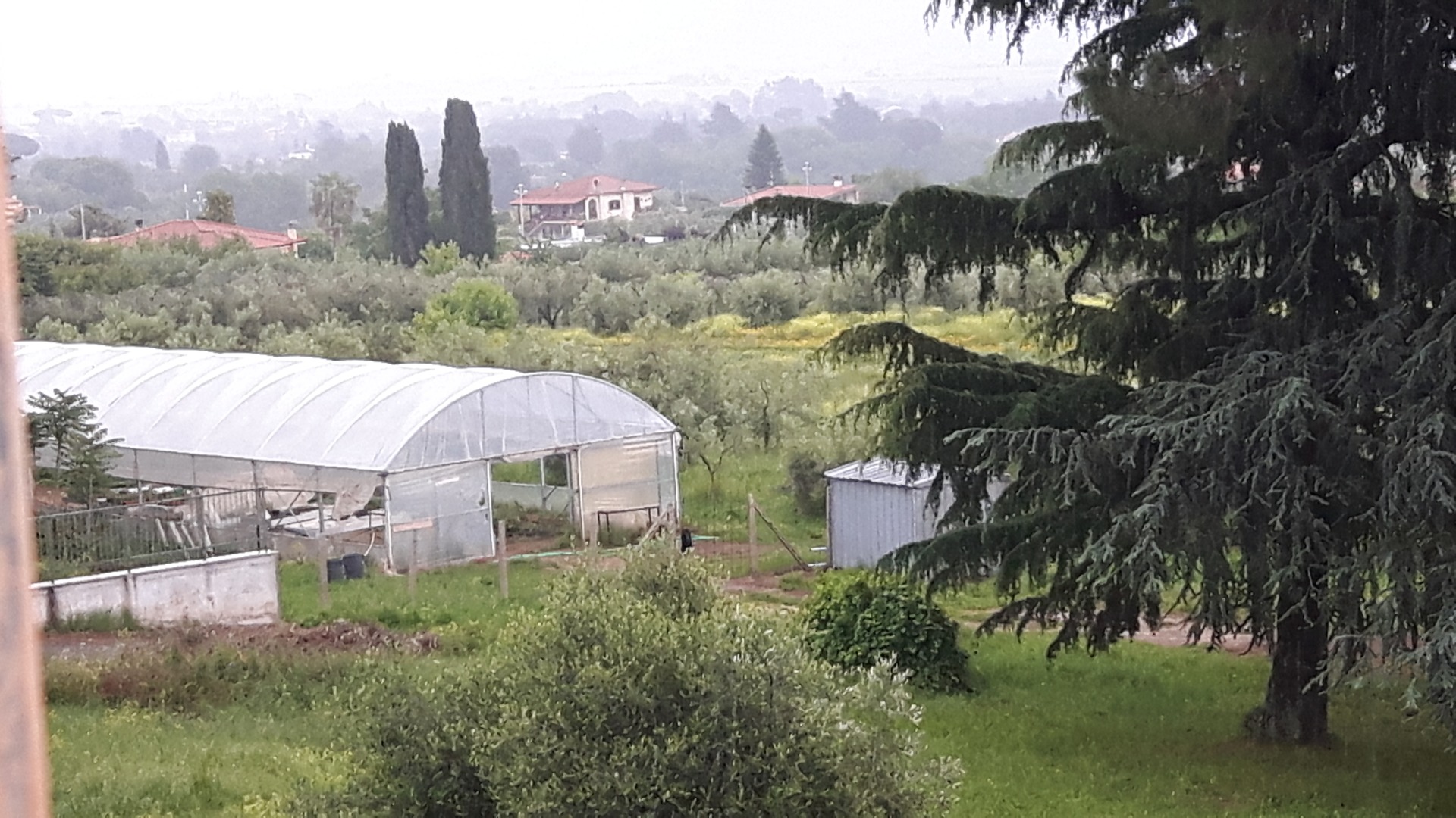 L'Azienda Agraria